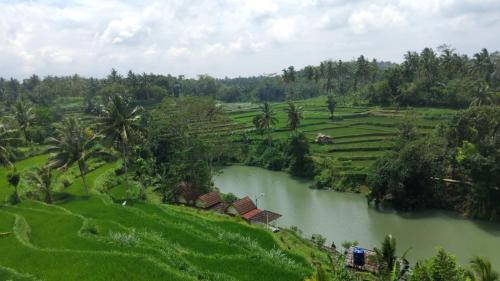 Live lombok homestay in Kecamatan Montong Gading