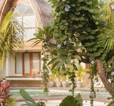 Lulu's Wellness Boutique Villas
