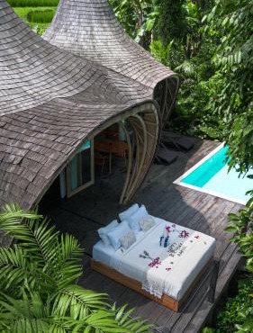 Jungleight Bali
