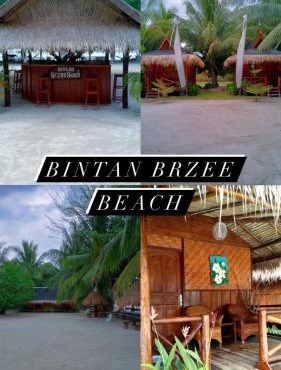 Bintan Brzee Beach in Bintan Island - Bungalow 2 in Berakit