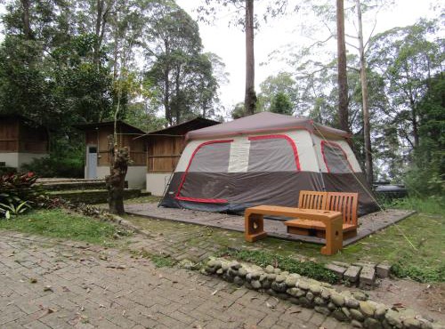 Lawu Forest Camp in Sarangan